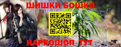 гашик Кулебаки